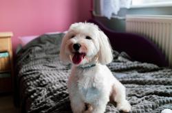 开云体育下载-韩国制霸巴西！蒂亚戈关键回合不手软，冰冷手速点燃赛场沸腾