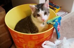 -破纪录之夜与轻取之间，足球场上的瞬间与进程辩证法