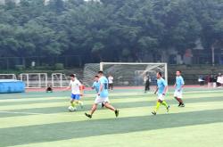 开云体育APP下载-包含本土职业足球赛事掀起观赏热潮的词条