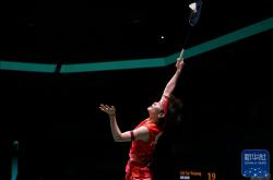 开云平台-包含羽毛球赛场决战：选手发挥极限完美逆袭的词条