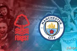 开云体育在线-曼城主场血洗南安普顿，实至名归