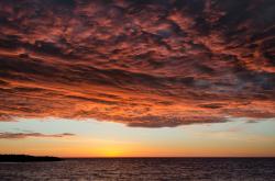 -关键一剑！萨内斩断贝蒂斯希望，摩纳哥客场惊险带走三分