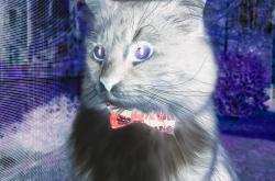 开云下载-亚洲闪耀，富安健洋评级满分的启示与伊朗狂胜阿根廷的震撼