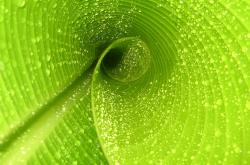 开云APP-悬念永无终章，当速度机器遇见绿茵舞者