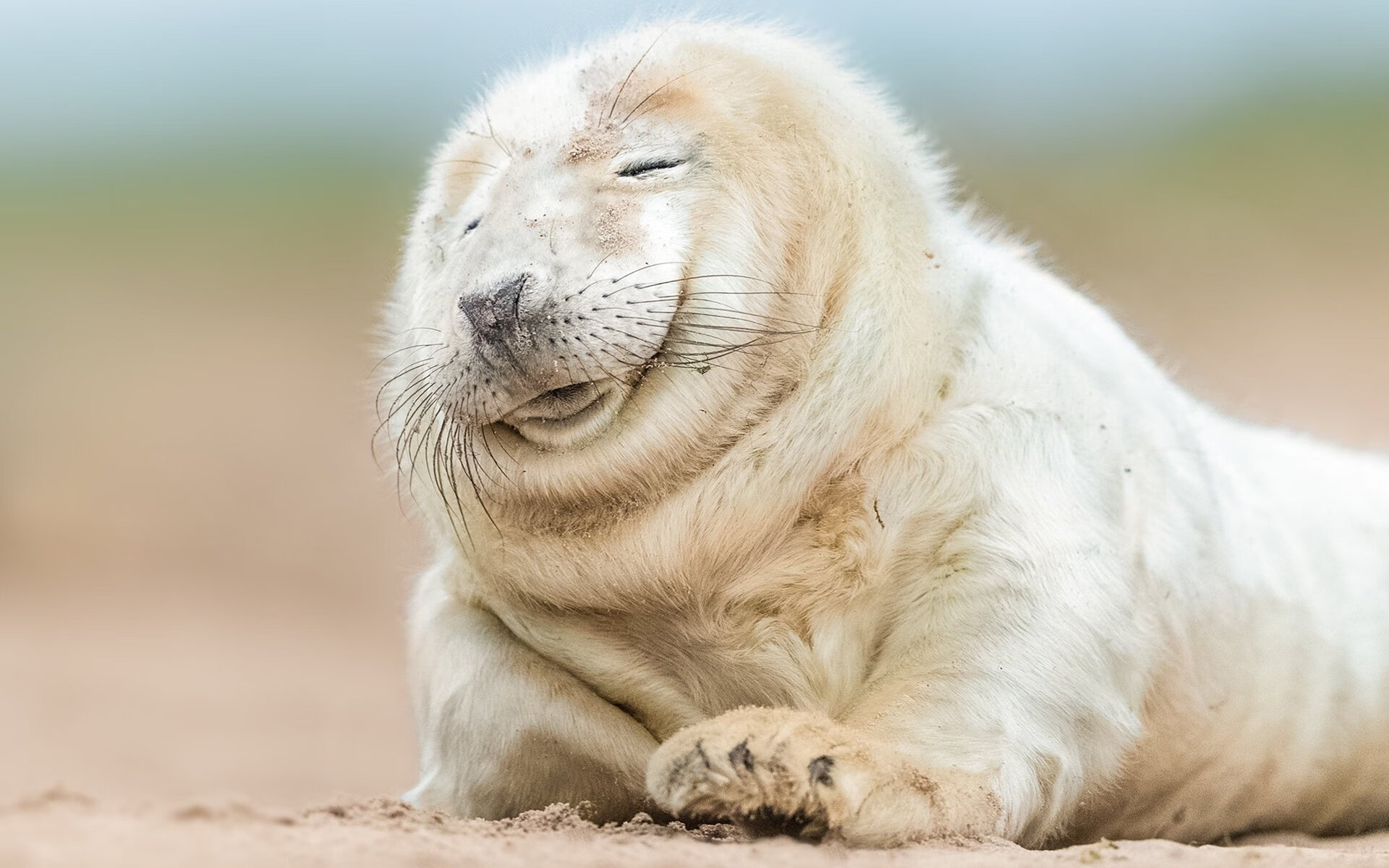 铁蹄之下，绝境看登哥，冠军血脉在雷霆强压中觉醒