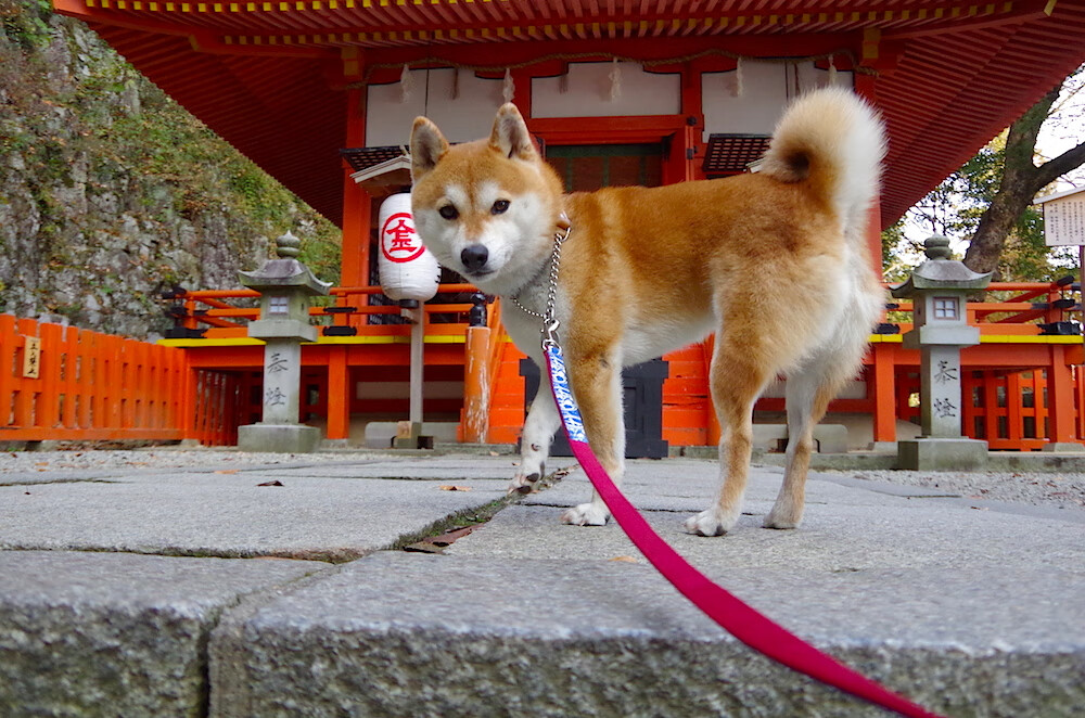 决胜局的密码，从美加墨世界杯焦点战，到凯尔特人如何扼住浙江队的命运咽喉