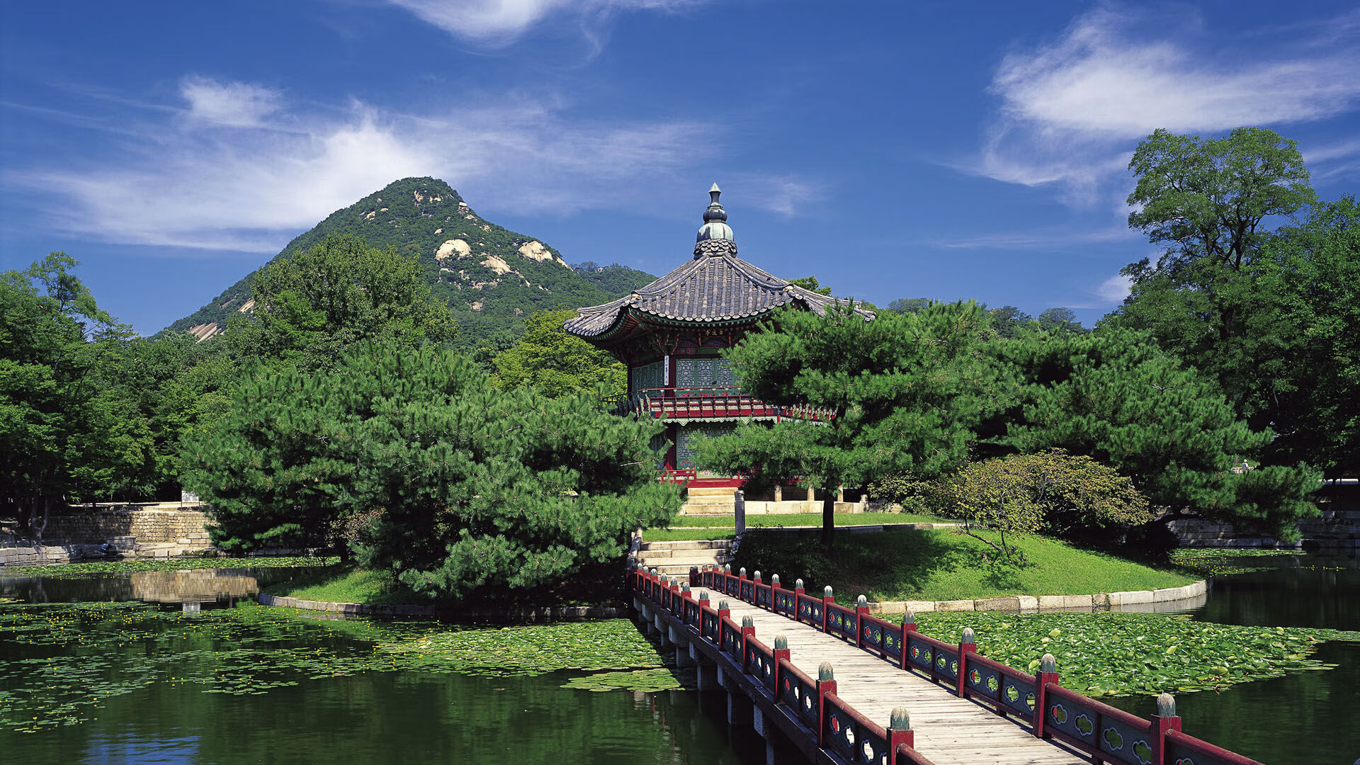 夜战之巅，奥利维耶的胜利拉开卫冕序幕