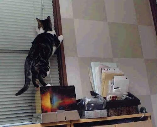 年度焦点之战,阿什拉夫用铁锁封印对手,成就防守艺术之夜