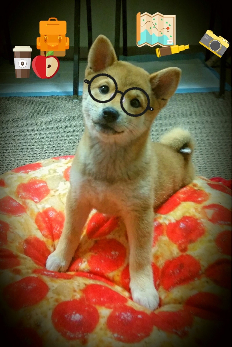 意甲焦点战之夜，英格拉姆防守艺术在足球场的映照