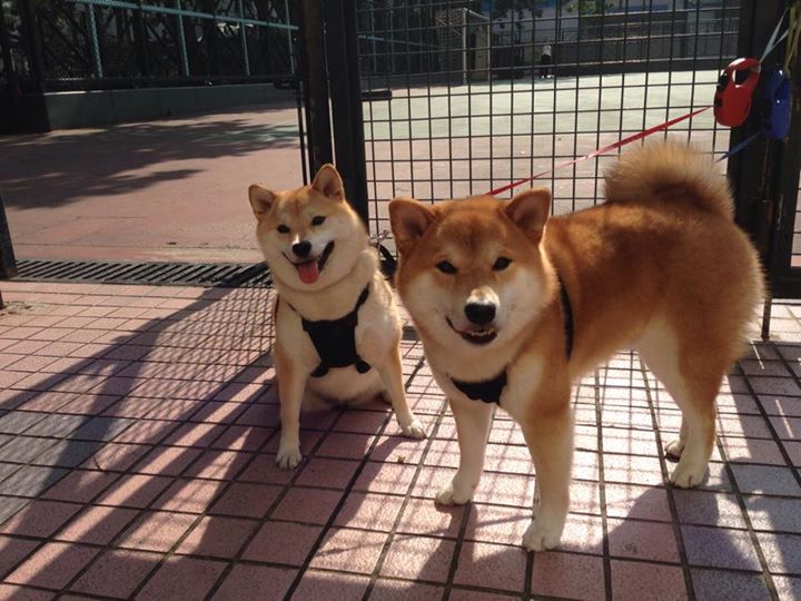 芝加哥公牛客场完胜圣安东尼奥马刺，保罗·乔治持续杀伤奠定胜局