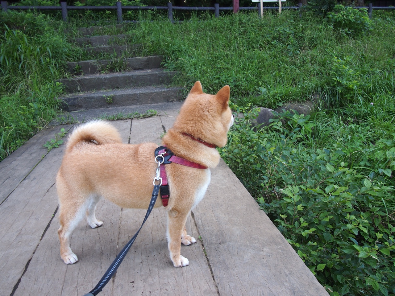 数据风暴中的定盘星，霍勒迪于世界排名争夺夜改写剧本