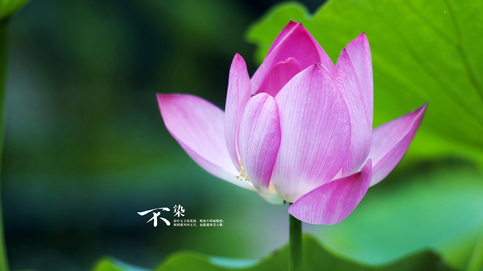 法比尼奥的金字塔尖时刻，当现代绿茵场重现古文明对决