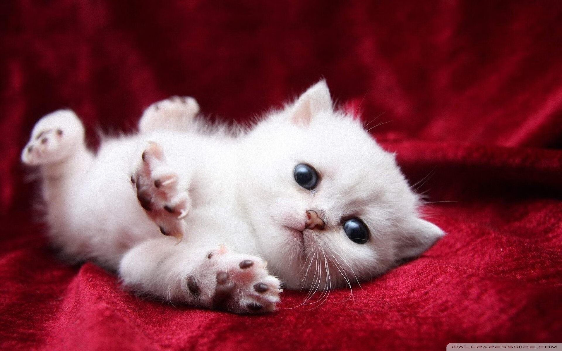 哈登关键球制胜,掘金攻防压制热火