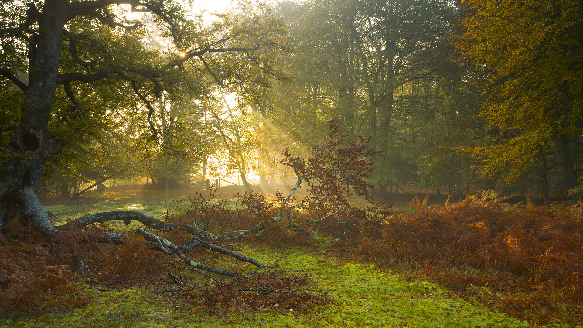 掘金铁壁封火箭，马克西生死战封神