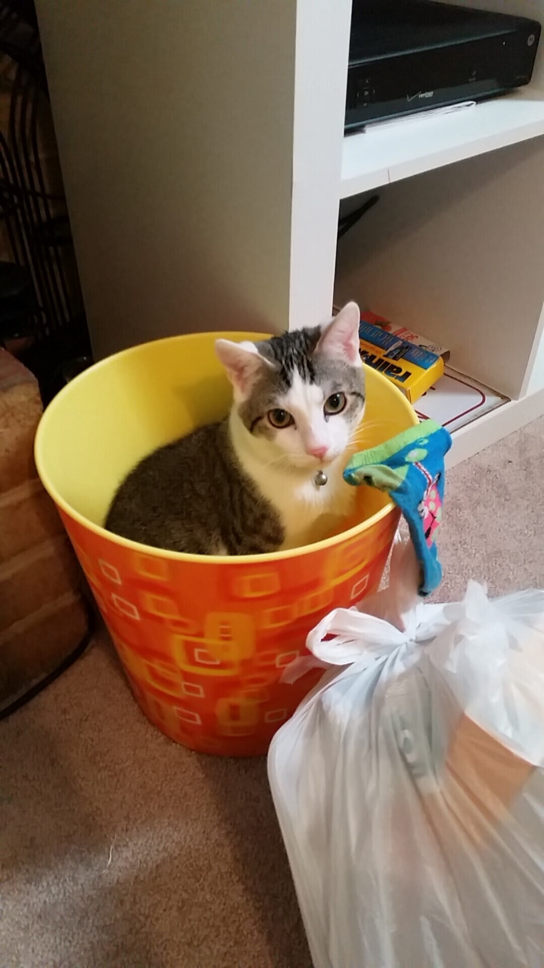 破纪录之夜与轻取之间，足球场上的瞬间与进程辩证法