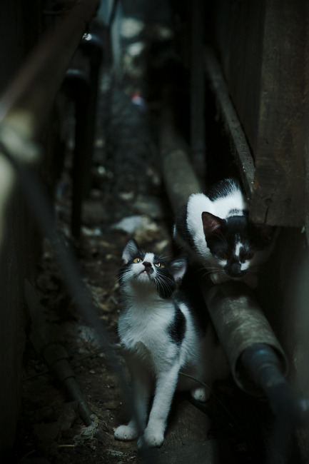 制胜一击!阿劳霍关键战不手软,巴拉圭稳健拿下拉齐奥