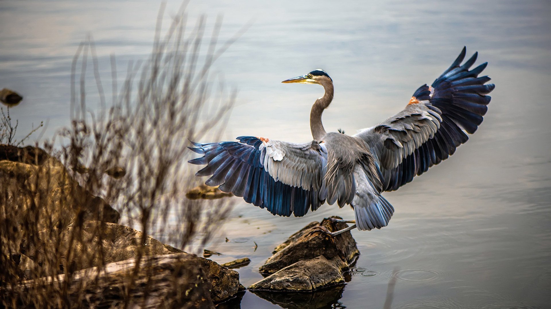 鹈鹕强压勇士,东契奇成为关键先生,小球时代的战术博弈与巨星定式