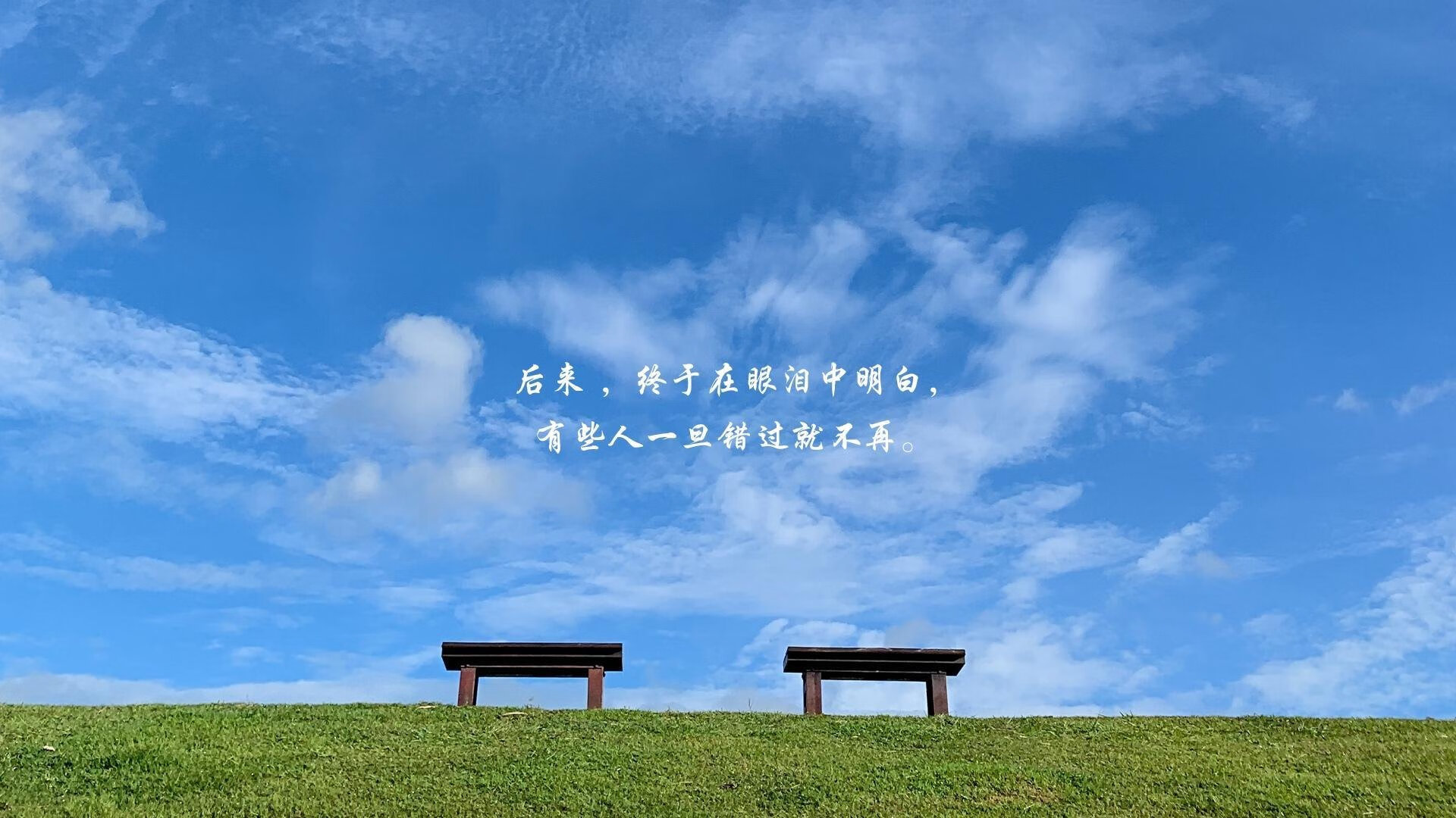 双线并进，篮网死地求生绞杀独行侠，福克斯绝境逆袭登顶世界之巅