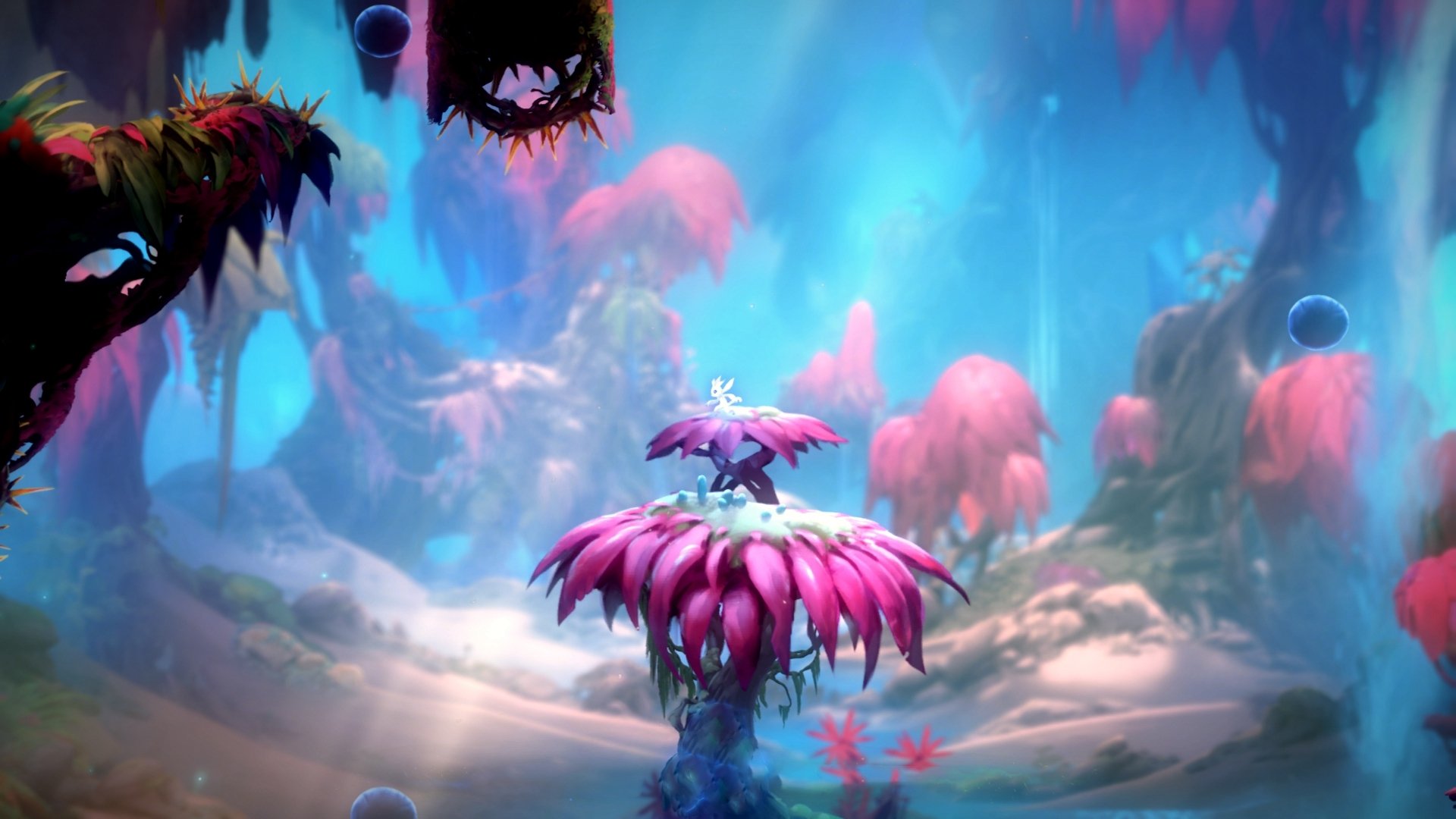 爱德华兹完美发挥引爆赛场，魔术爵士鏖战演绎经典对决