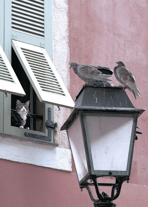 英超争冠之夜，照耀基耶萨的生涯之夜