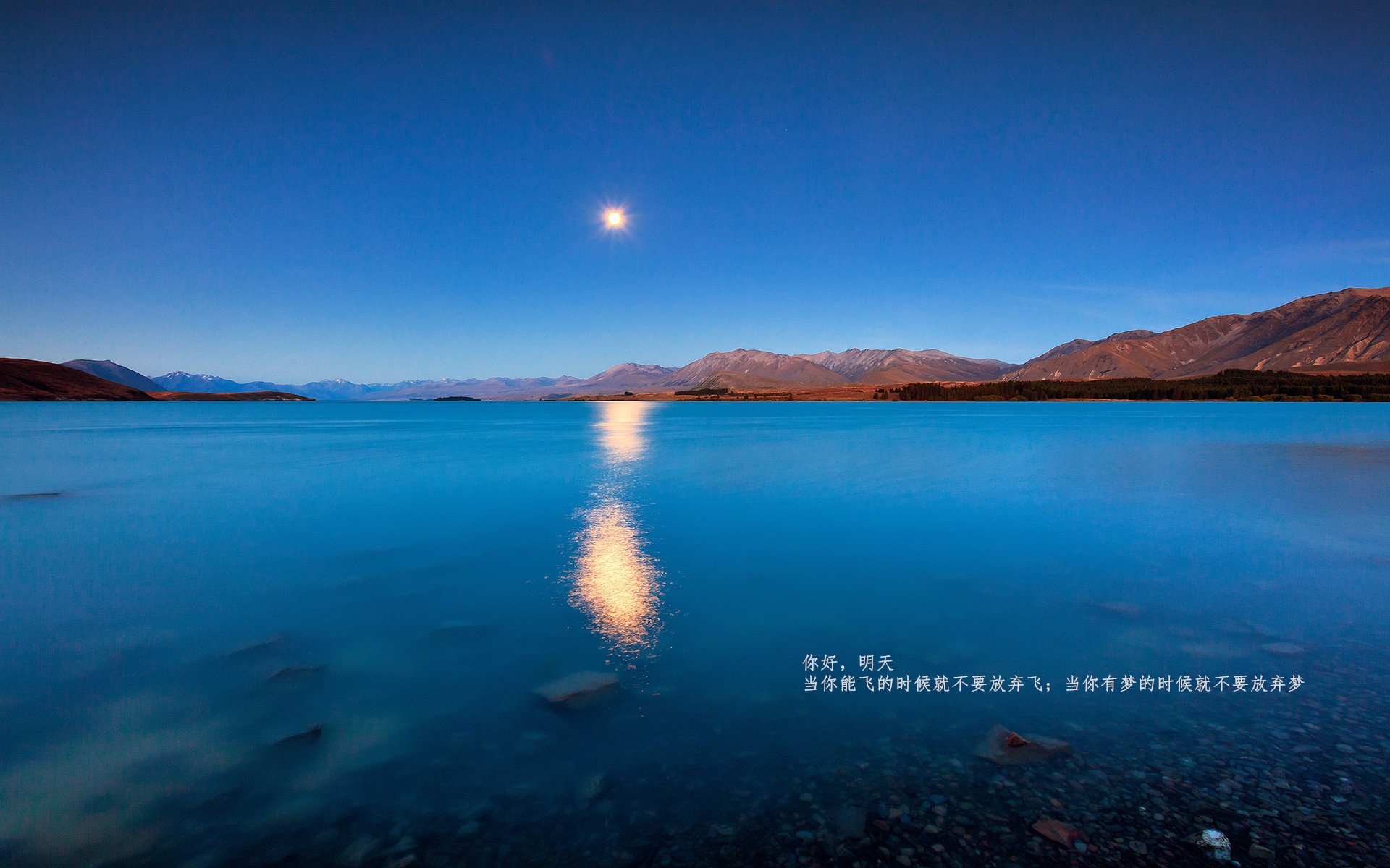 风暴眼，英超争冠夜的喧嚣中，范弗利特如何定义不掉线